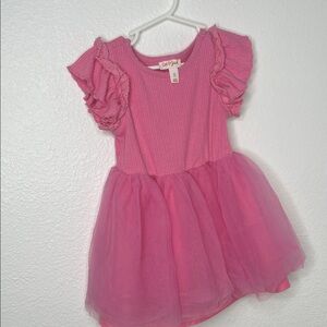 Cat & Jack Pink Tulle Dress with Ruffled Sleeves + Wonder Nation Purple Dress
